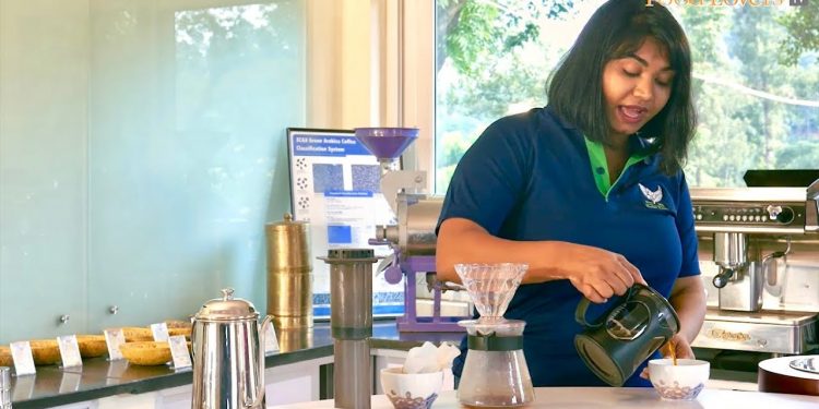 How To Brew The Perfect Cup Of Coffee | Tips From A Coffee Expert |Better Coffee At Home| Easy Guide