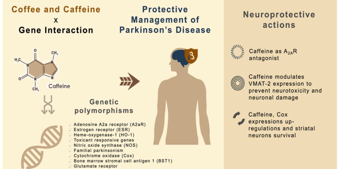 Study Suggests Regular Coffee Consumption May Lower Risk of Parkinson’s Disease