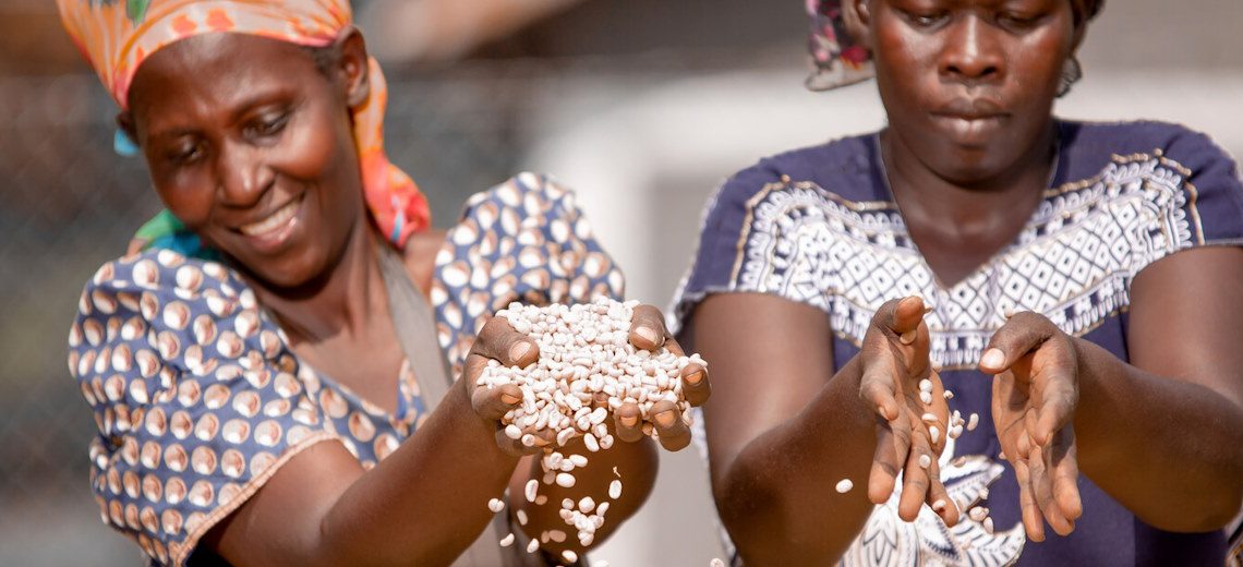 Why roasters should diversify their coffee offerings